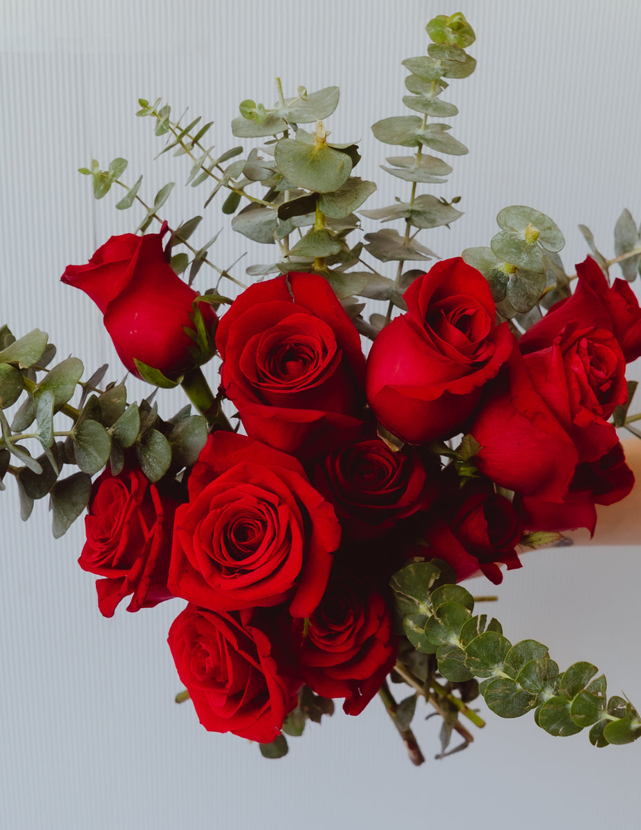 Rosas rojas – Florería Cosme